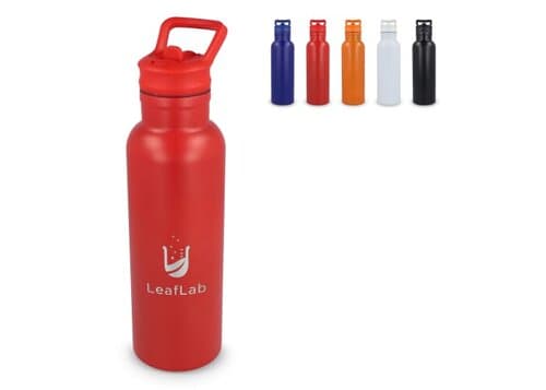 Dario Isolierflasche 500 ml