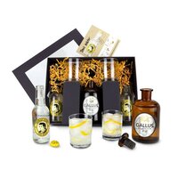 Geschenkset  Präsenteset Gin Tonic Set Gallus 43