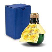 Kleinste Sektflasche der Welt Diesmal statt Blumen  Inklusive Geschenkkarton 125 ml