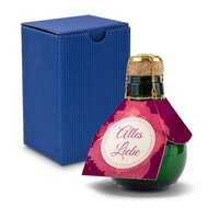 Kleinste Sektflasche der Welt Alles Liebe  Inklusive Geschenkkarton 125 ml