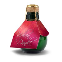 Kleinste Sektflasche der Welt!