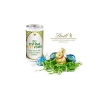 Geschenkartikel / Präsentartikel: Lindt-Oster-Überraschung, Das Nest in der Dose