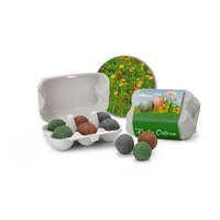 Geschenkartikel  Präsentartikel Bienenweide im OsterEierkarton Blumen