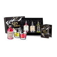 Geschenkset  Präsenteset GinTasting 3 exklusive GinSorten