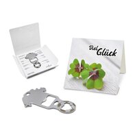 Geschenkartikel: ROMINOX® Key Tool / Multifunktionswerkzeug im Motiv-Mäppchen Viel Glück