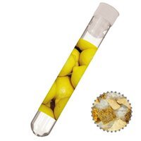 Gewürzmischung ZitronenSalz ca 12g Reagenzglas