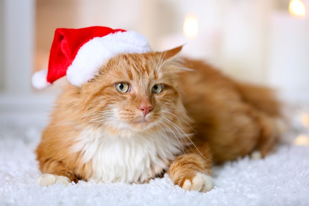 Weihnachtsmützen