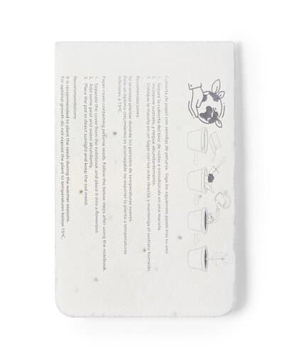 Sementi Samenpapier/Haftnotizen