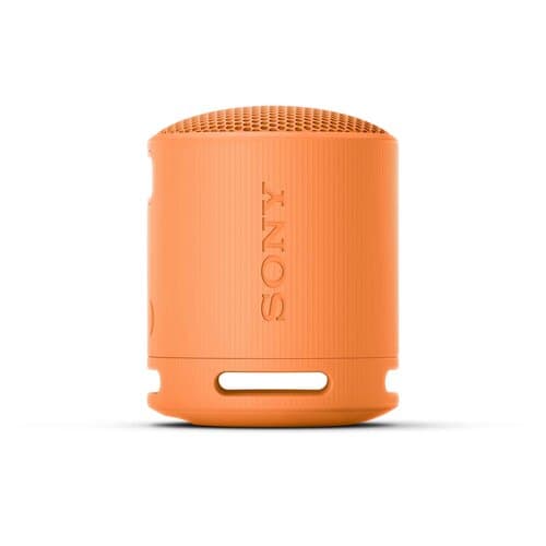 Sony Lautsprecher SRS-XB100