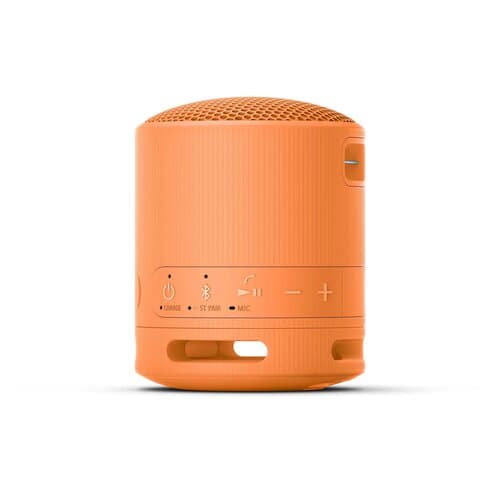 Sony Lautsprecher SRS-XB100