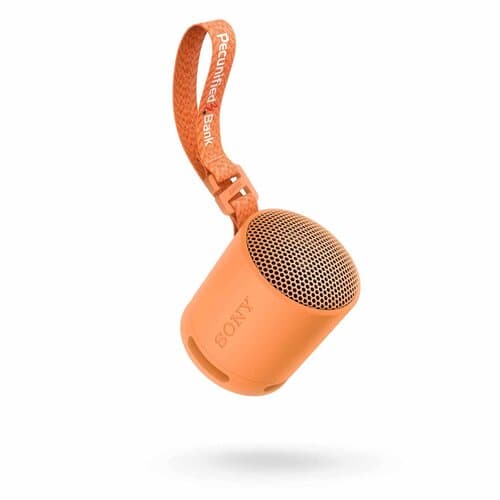 Sony Lautsprecher SRS-XB100