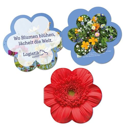 Samenpapier in Klappkärtchen Blume