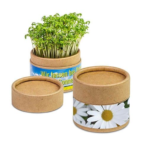 Pflanz-Cup mit Samen