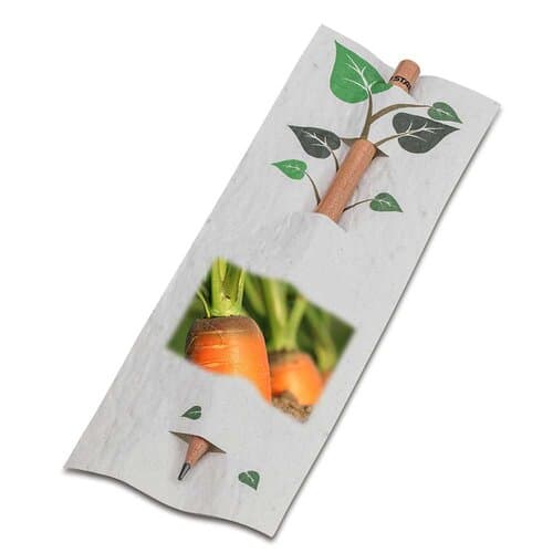 Bleistift im Samenpapieretui
