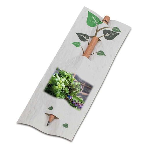 Bleistift im Samenpapieretui