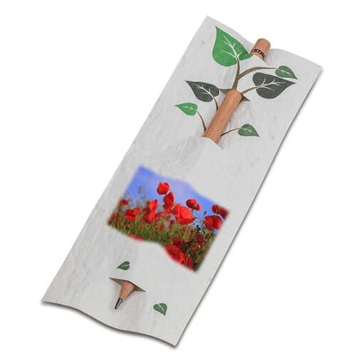 Bleistift im Samenpapieretui
