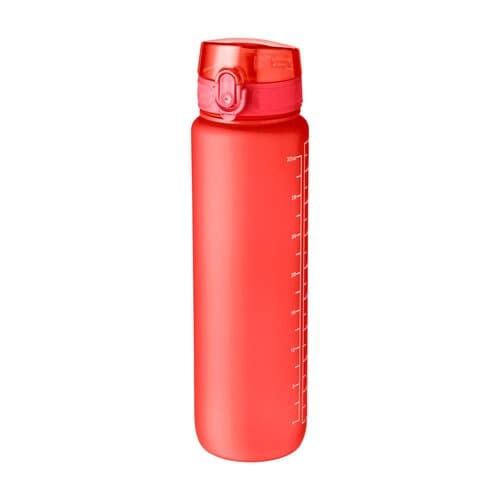 Trinkflasche Brinley | Recycelt | 1 l