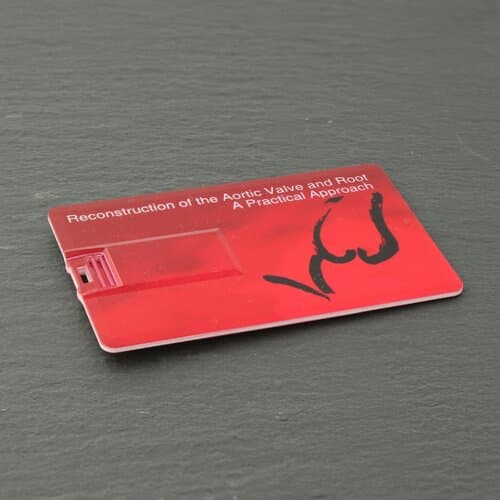 USB-Karte Scheck