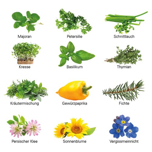 Adventskalender ECO L mit Samentütchen