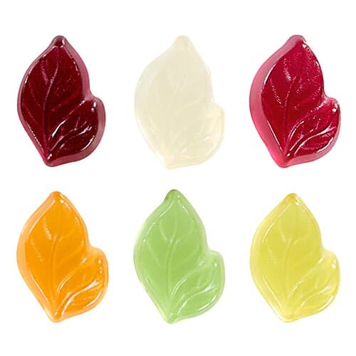 Fruchtgummi STANDARD-Formen 10 g im kompostierbaren Tütchen