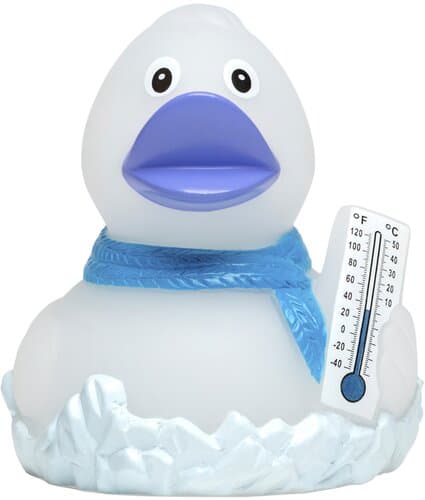 Quietsche-Ente Frosty