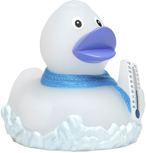 Quietsche-Ente Frosty