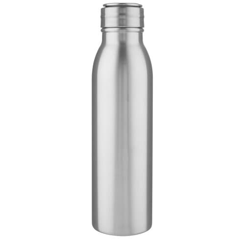 Harper 700 ml Sportflasche aus Edelstahl mit Metallschlaufe