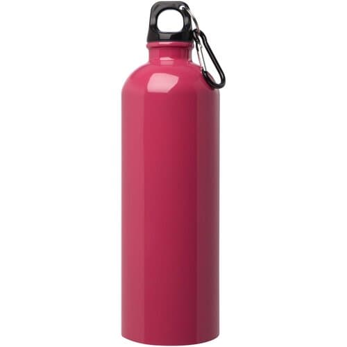 Oregon 750 ml RCS-zertifizierte, einwandige Trinkflasche aus Edelstahl mit Karabinerhaken