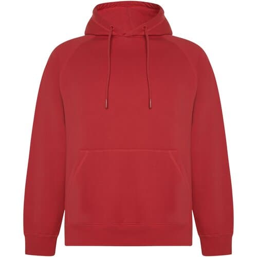 Vinson 300 g/m² Kapuzenpullover aus Bio-Baumwolle Unisex