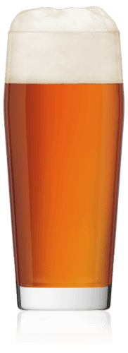 Becher Willi