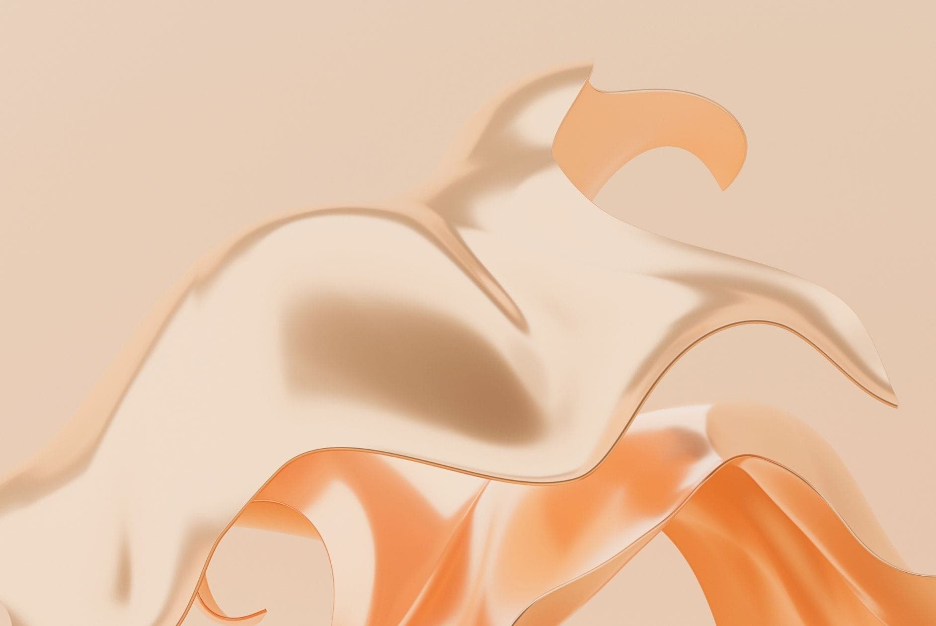 Headerbild mit Pantone Farben 2024 - Peach Fuzz