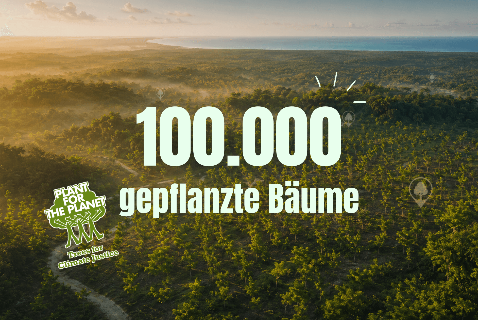 Header 100.000 gepflanzte Bäume - Plant for the Planet